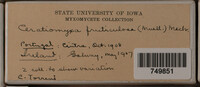 Image Associated With the Occurence